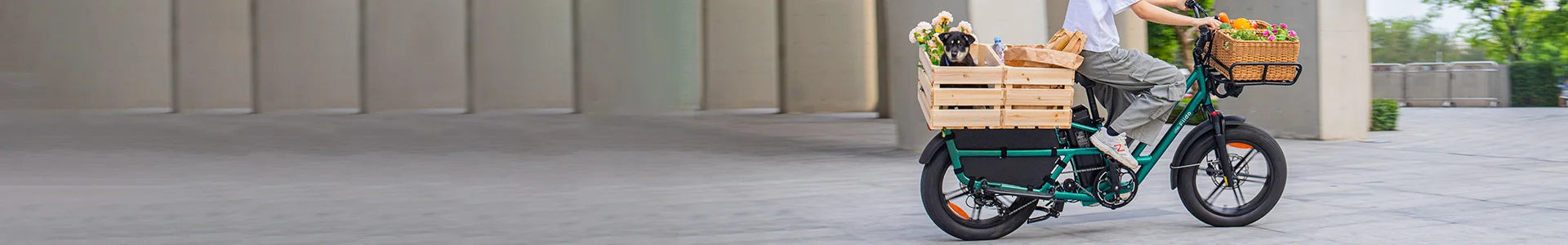 Une femme fait du shopping sur un vélo électrique cargo Fiido T2