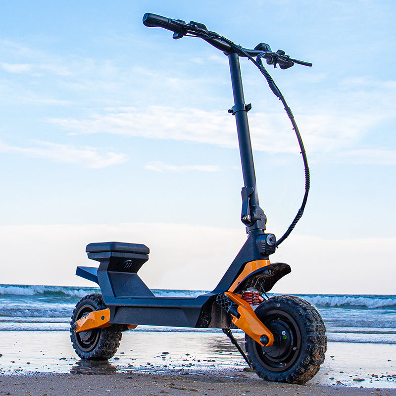 Fiido Beast Scooter Électrique à la plage