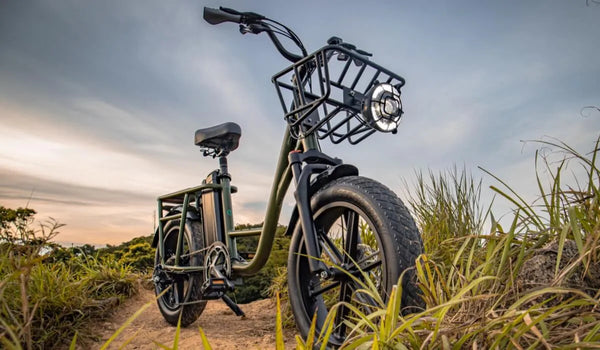 Un vélo à gros pneus pro Fiido T1 était temporairement garé dans les montagnes.