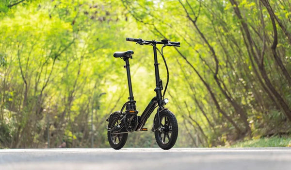 Un vélo électrique Fiido D3 PRO était temporairement garé en bord de route.