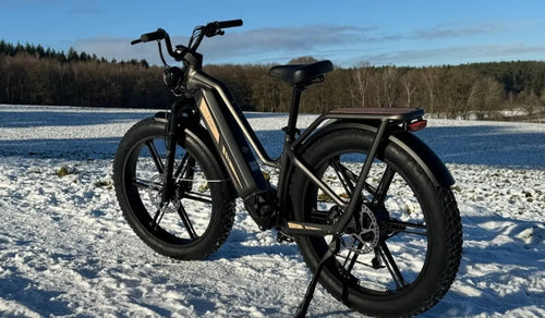 Un vélo électrique Fiido Titan est temporairement stationné dans la neige