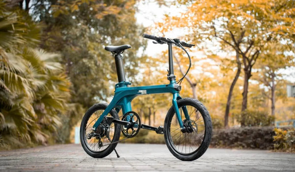 Un vélo électrique Fiido X est temporairement garé sur le côté de la route.