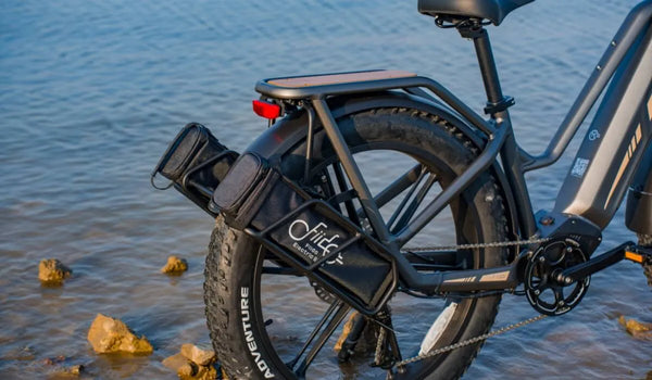 La photo montre la batterie du prolongateur d'autonomie utilisée dans le vélo électrique FiidoTitan.