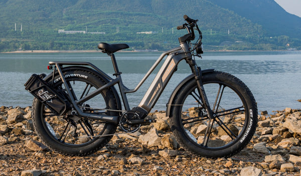 Fiido E-Bike Innovations : Présentation des Dernières Avancées Technologiques