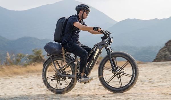 Quel est le meilleur vélo électrique cargo ?