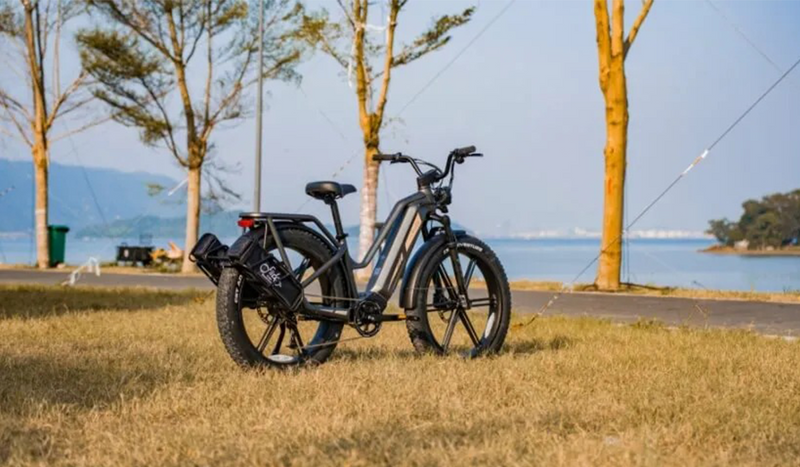 Un vélo électrique Fiido Titan est temporairement garé au bord du lac.