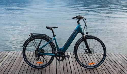 Un vélo électrique léger Fiido C11 Pro a été temporairement stationné au bord du lac.