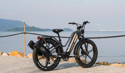Vélos électriques d’occasion ou neufs : coûts cachés, risques liés à la batterie et réparabilité