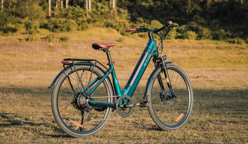 Un vélo électrique Fiido C11 était temporairement garé au bord de la route.