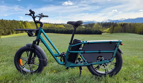 Vélo électrique Fiido T2 avec cadre robuste, idéal pour une utilisation en extérieur.