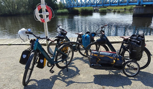 Plusieurs vélos électriques Fiido C11 temporairement garés au bord de la route