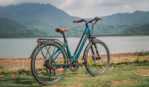 Un vélo électrique Fiido C11 Pro est temporairement stationné au bord du lac.