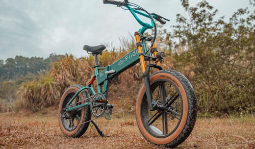 Vélo électrique à pneus larges Fiido M1 Pro