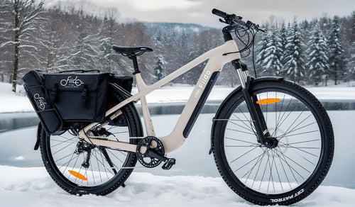 Fiido Nomads Placés sur un Terrains Neigeux