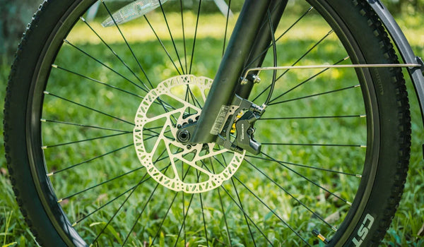 Rayon de la roue du vélo électrique de touring Fiido Nomads