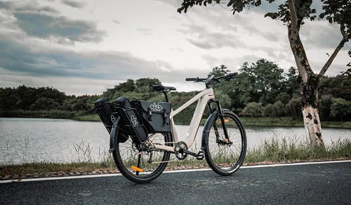 Vélo électrique de randonnée Fiido Nomads garé au bord du lac