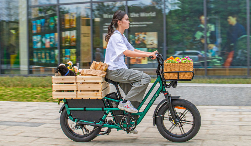 Fiido T2 Longtail cargo E-bike contre Aventon Abound E-bike