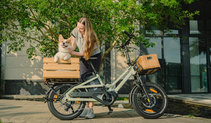 Vélo cargo électrique Fiido T3 transportant un animal de compagnie