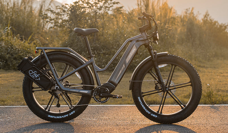 Fiido Titan E-bike VS RAD POWER BIKES Radster™ Trail