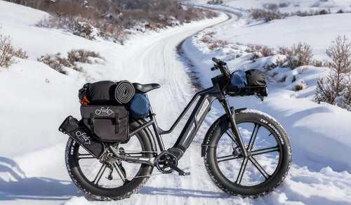 Un vélo électrique de chasse Fiido Titan placé dans la neige.