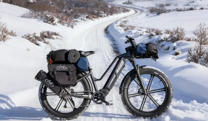 Un vélo électrique Fiido Titan à pneus larges placé dans la neige.
