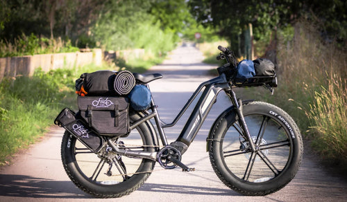 Vélo électrique Fiido Titan à gros pneus pour longues distances