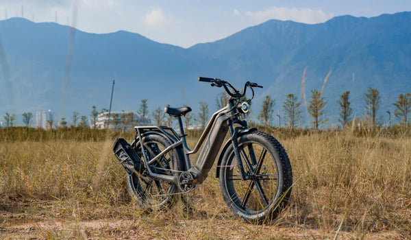 Ein Fiido Titan Jagd-E-Bike ist vorübergehend am Straßenrand geparkt.