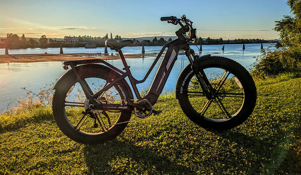 Vélo électrique Fiido Titan garé au bord du lac