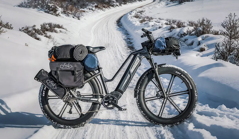 Vélo électrique Fiido Titan garé sur la neige