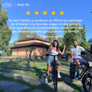 Fiido T2 Vélo électrique Longtail Fatbike Cargo