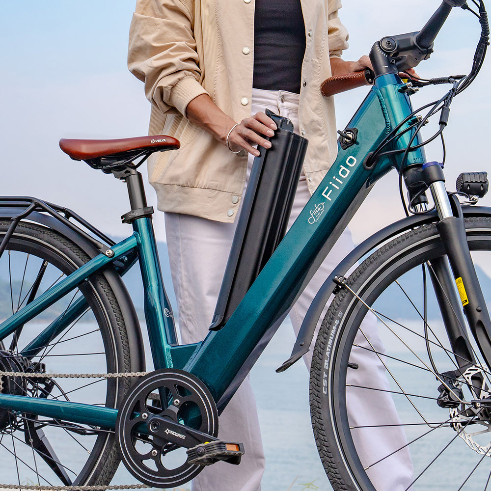 Fiido C11 Pro Vélo Électrique Léger Urbain