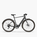 Fiido C21 E-Gravel & Vélo Èlectrique Urbain
