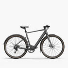 Fiido C21 E-Gravel & Vélo Èlectrique Urbain