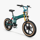 Fiido M1 Pro Vélo électrique Vtt Fatbike Cargo De Gros Pneus