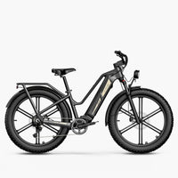 Titan Fat Tire Touring Vélo électrique - Longue portée