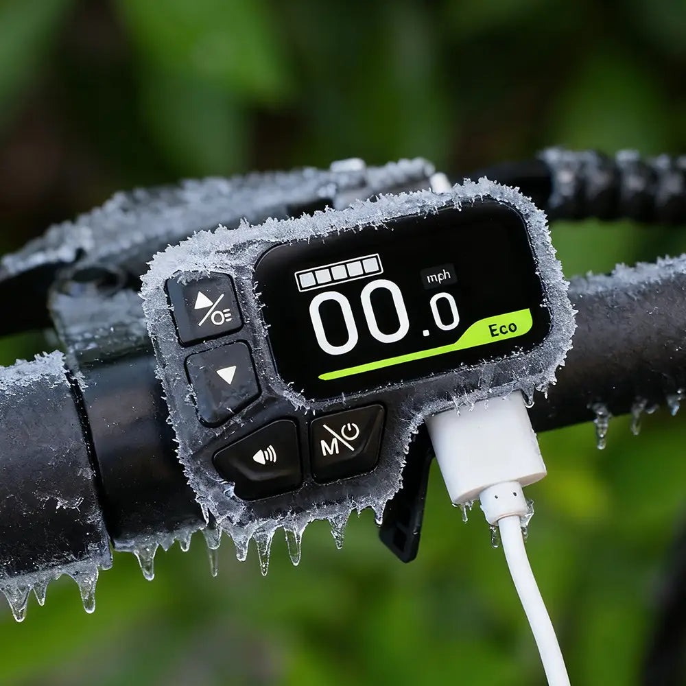 Fiido D3 Pro Mini Vélo électrique