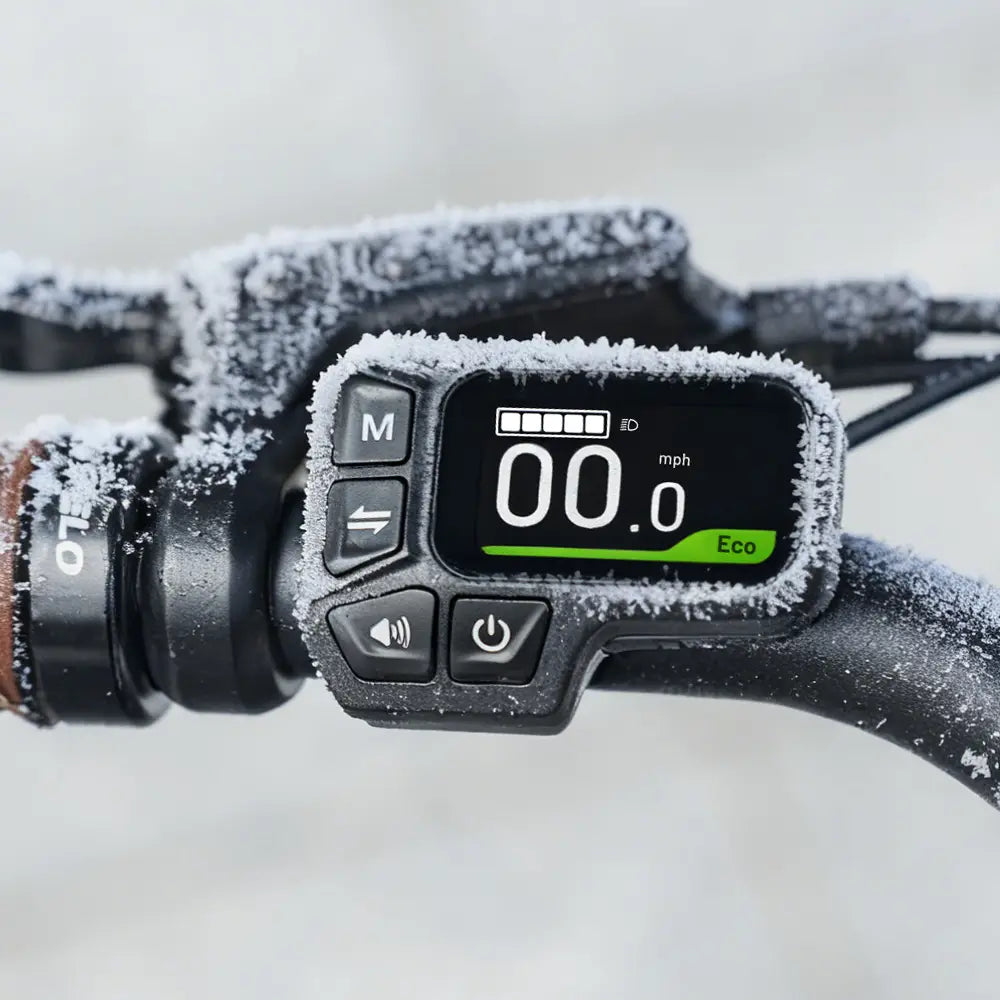 Fiido C11 Vélo Électrique Léger Urbain