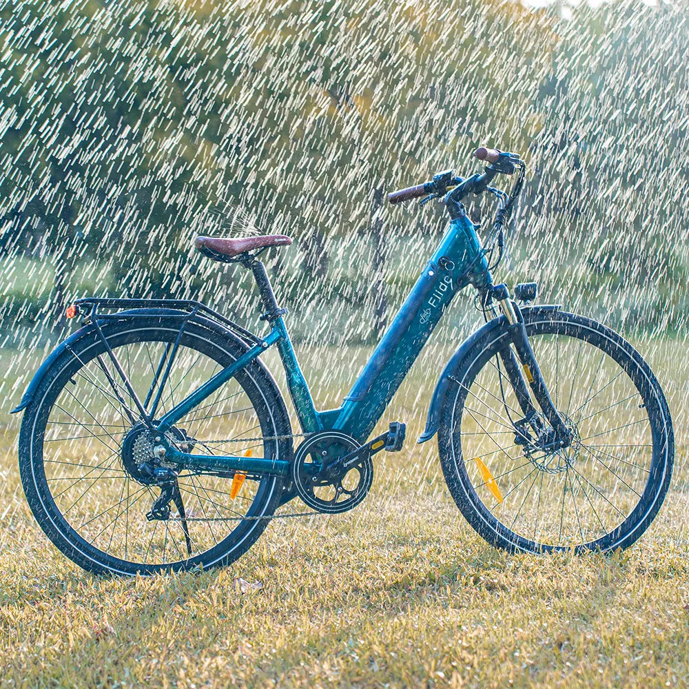 Fiido C11 Pro Vélo Électrique Léger Urbain