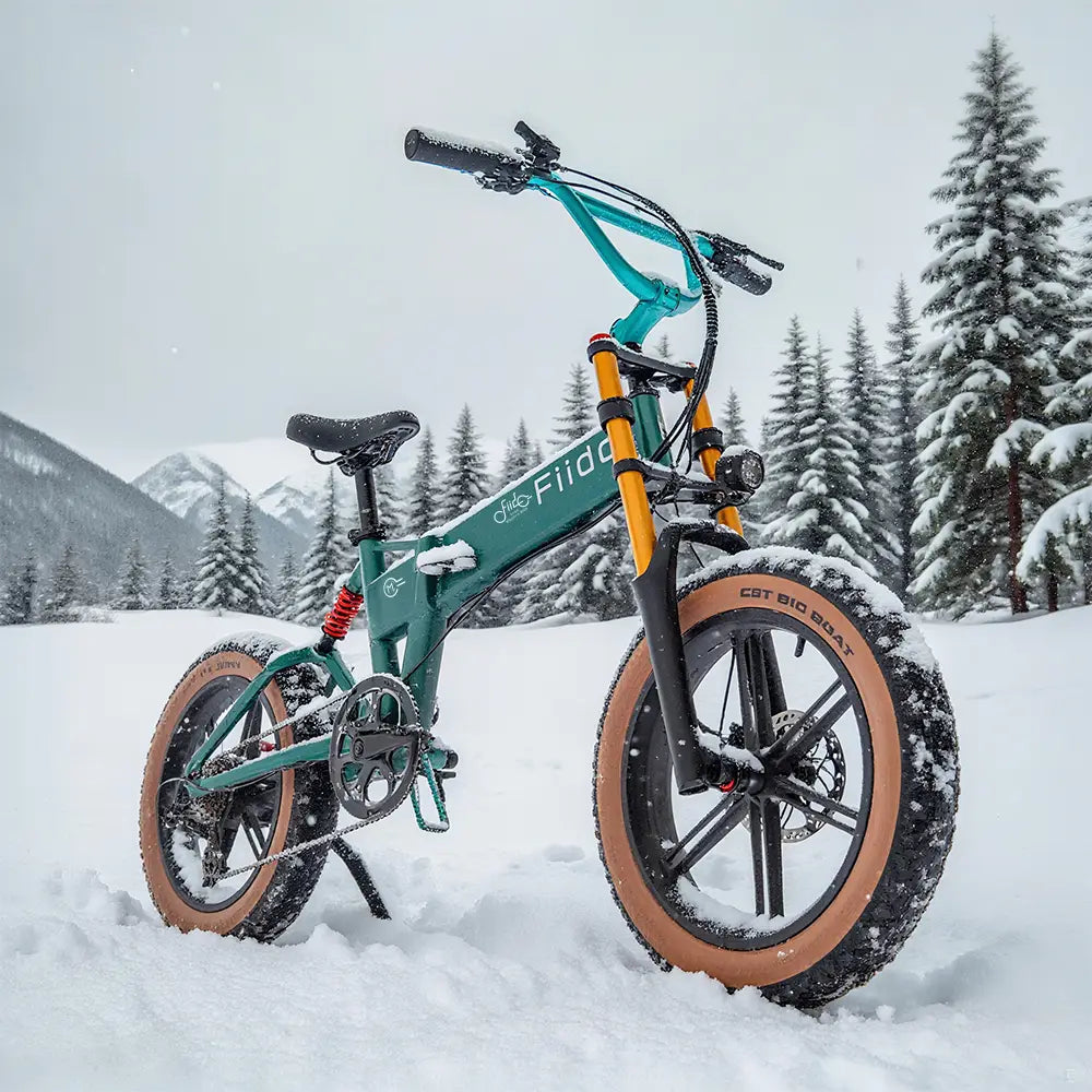 Fiido M1 Pro Vélo électrique Vtt Fatbike Cargo De Gros Pneus