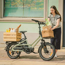 Fiido T3 Vélo Électrique Cargo Familial Urbain