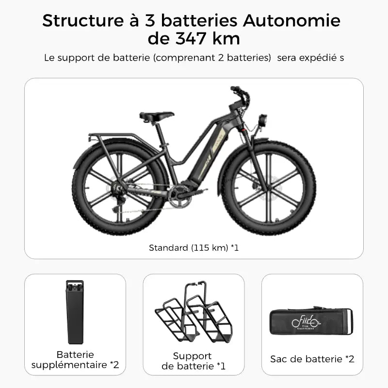 Titan Fat Tire Touring Vélo électrique - Longue portée