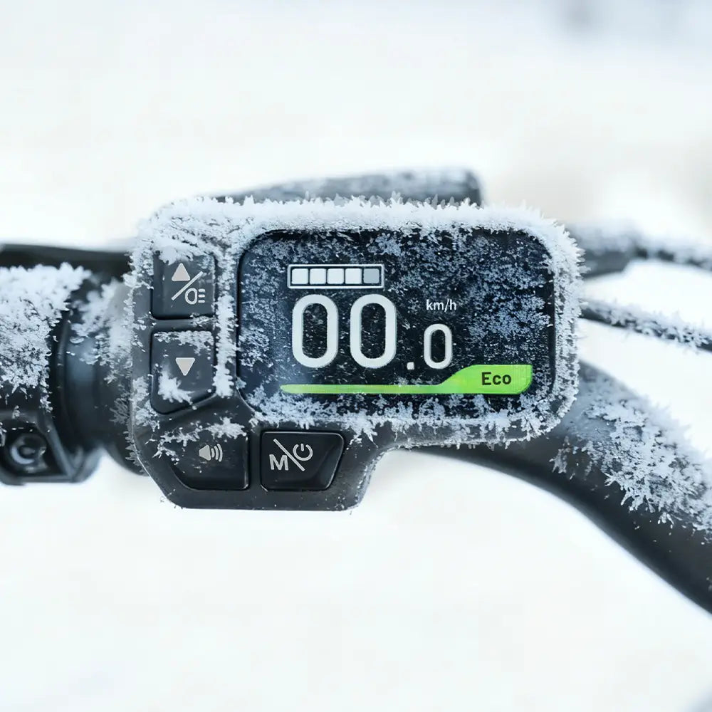 Fiido D11 Vélo électrique Pliant Urbain