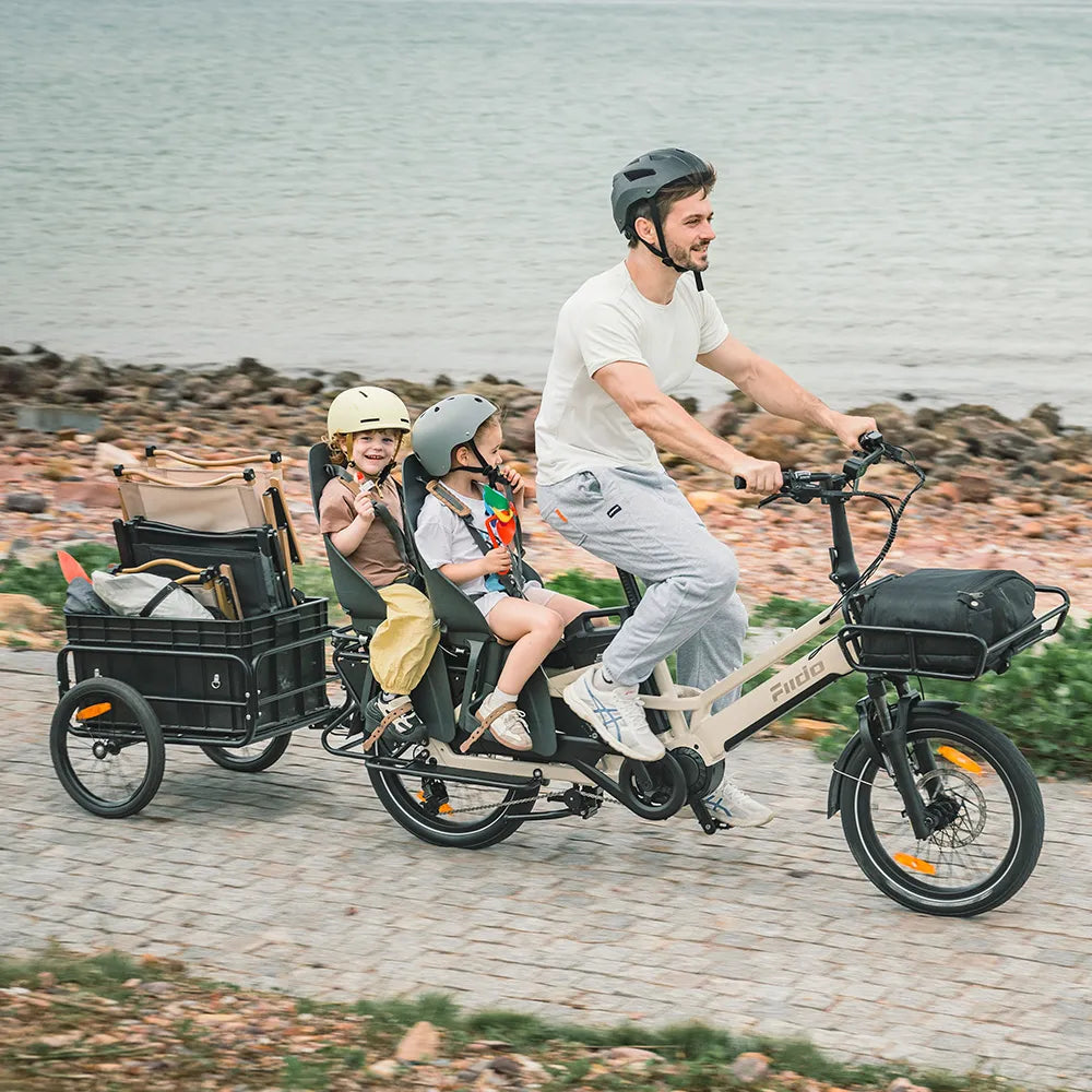 Fiido T3 Max Vélo Électrique Cargo Longtail
