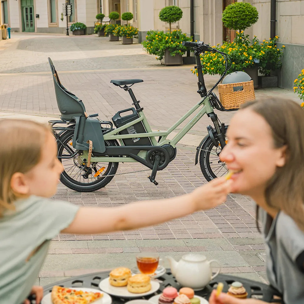 Fiido T3 Vélo Électrique Cargo Familial Urbain