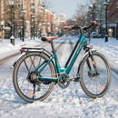 Fiido C11 Pro Vélo Électrique Léger Urbain