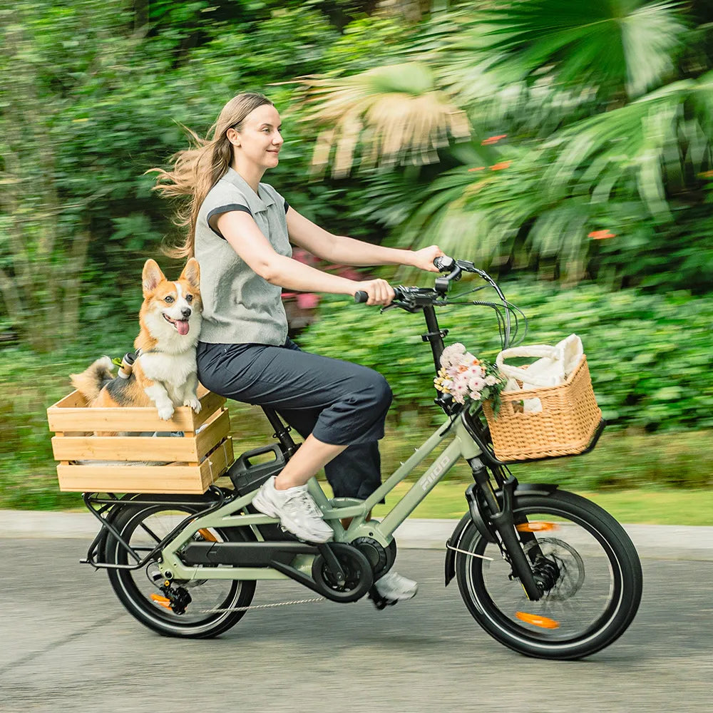 Fiido T3 Vélo Électrique Cargo Familial Urbain