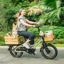 Fiido T3 Vélo Électrique Cargo Familial Urbain