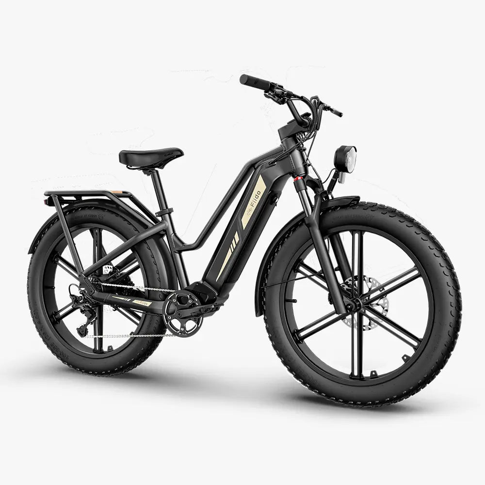 Titan Fat Tire Touring Vélo électrique - Longue portée
