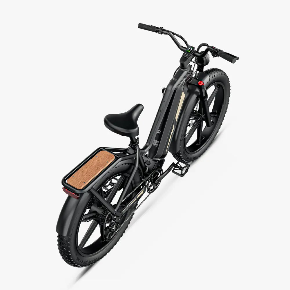 Titan Fat Tire Touring Vélo électrique - Longue portée