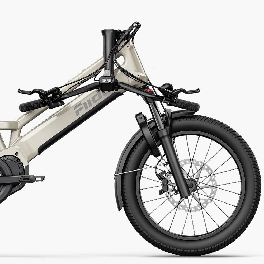 Fiido T3 Max Vélo Électrique Cargo Longtail